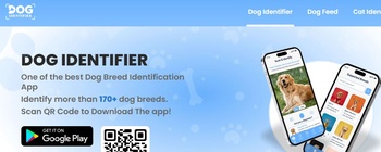 Dog Identifier